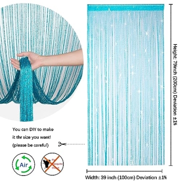 Hysenm 2 Pack Glitter String Curtains - Stylish Decor