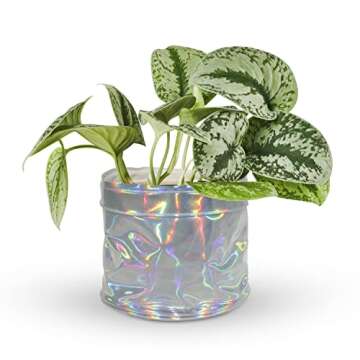 Urban Jaga Decorative Planter Basket Set - Stylish Plant Covers