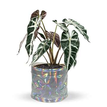 Urban Jaga Decorative Planter Basket Set - Stylish Plant Covers