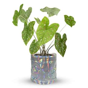 Urban Jaga Decorative Planter Basket Set - Stylish Plant Covers