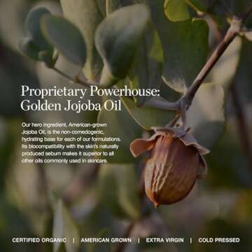 Ogee Complexion Perfecting Tinted Moisturizer For Face (Cedar 1.20C - Fair, Pink-Beige Undertones) - Lightweight Tinted Serum with Vitamin C & Jojoba Oil - Certified Organic & Made in USA