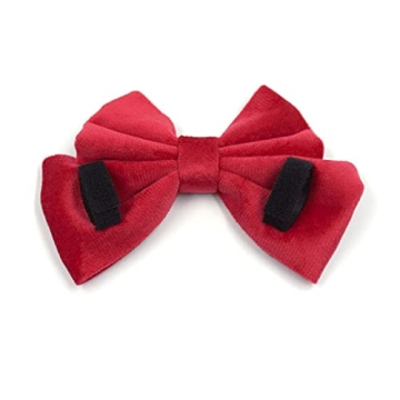 Custom Personalized Dog Collar with Rose Gold Buckle