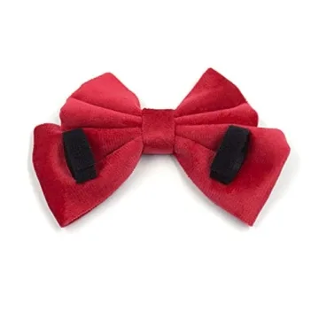 Custom Personalized Dog Collar with Rose Gold Buckle