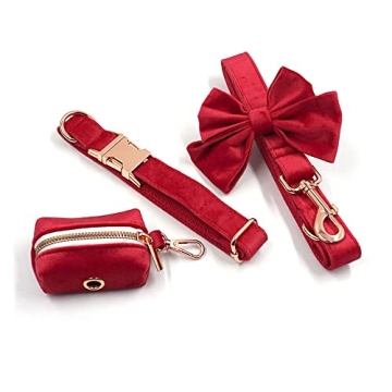 Custom Personalized Dog Collar with Rose Gold Buckle