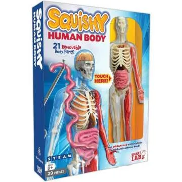 Squishy Human Body Model with 21 Removable Parts