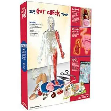 Squishy Human Body Model with 21 Removable Parts
