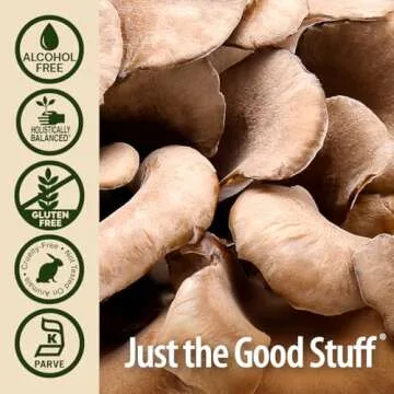 Nature's Answer Bio-Pro Maitake 2 oz Extract - Immune Support