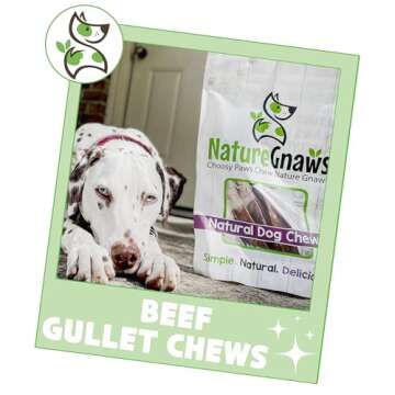 Nature Gnaws Beef Gullet Chews for Large Dogs 9-10" (20 Count) - Natural Beef Jerky Stick Dog Chew Treats - Rawhide Free