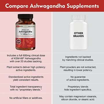 DailyNutra KSM-66 Ashwagandha 600mg High-Potency Extract
