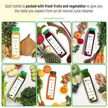 3 Day Juice Cleanse by Raw Fountain, All Natural Raw Detox Cleanse, Juicing for Body Rest, Cold Pres...