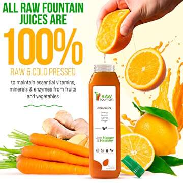 3 Day Juice Cleanse by Raw Fountain, All Natural Raw Detox Cleanse, Juicing for Body Rest, Cold Pressed Juice Fast, Great Way to Jumpstart a Healthy Diet, 18 Bottles 12oz, 3 Ginger Shots