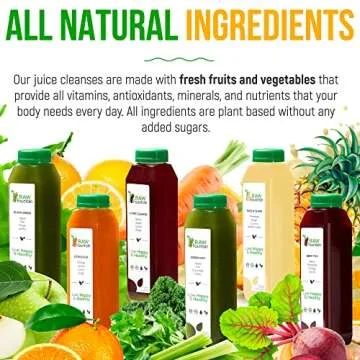 3 Day Juice Cleanse by Raw Fountain, All Natural Raw Detox Cleanse, Juicing for Body Rest, Cold Pressed Juice Fast, Great Way to Jumpstart a Healthy Diet, 18 Bottles 12oz, 3 Ginger Shots