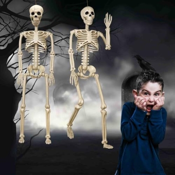 Life Size Halloween Skeletons - 2 Pack for Spooky Fun