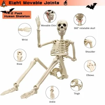 Life Size Halloween Skeletons - 2 Pack for Spooky Fun