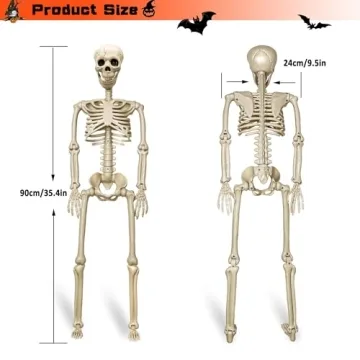 Life Size Halloween Skeletons - 2 Pack for Spooky Fun