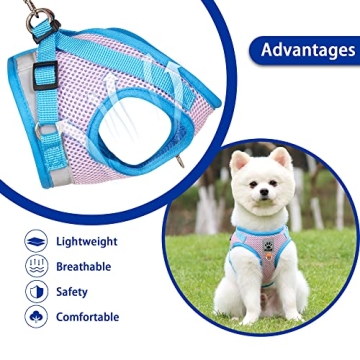 FOZZA No Pull Dog Harness and Leash Set for Small Pets