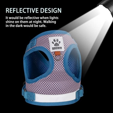 FOZZA No Pull Dog Harness and Leash Set for Small Pets