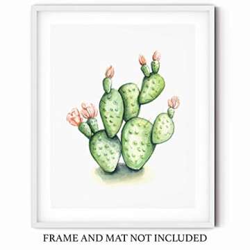 Green and Pink Flowering Prickly Pear Cactus Watercolor Wall Art 11x14 UNFRAMED Print - Makes a Great Gift under $15 for Desert Botanical Plant Lovers