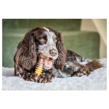 Nylabone Flavor Frenzy Dental Bone for Aggressive Chewers