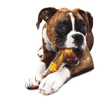 Nylabone Flavor Frenzy Dental Bone for Aggressive Chewers