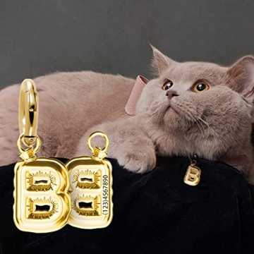 Personalized Cat Collar Charm - Durable Brass Balloon Tag