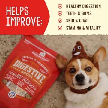 Stella's Solutions Digestive Boost – Freeze-Dried Dog Food