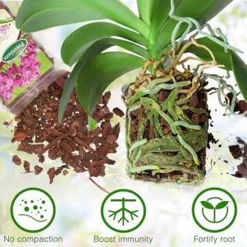 Premium Orchid Potting Mix for Thriving Indoor Plants