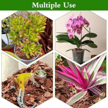Premium Orchid Potting Mix for Thriving Indoor Plants