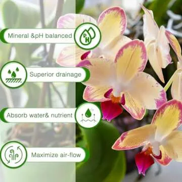 Premium Orchid Potting Mix for Thriving Indoor Plants