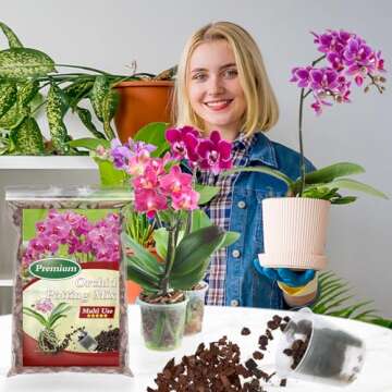 Premium Orchid Potting Mix for Thriving Indoor Plants
