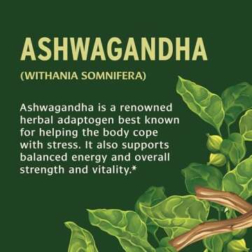 Banyan Botanicals 1000mg Organic Ashwagandha Tablets