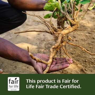 Banyan Botanicals 1000mg Organic Ashwagandha Tablets