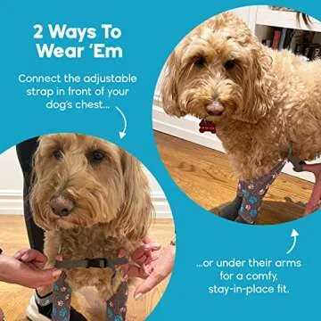 WALKEE PAWS Stay-on, Non-Slip Dog Socks to Prevent Licking Paws and Slipping on Hardwood Floors. Seen on Shark Tank, Never Lose a Dog Sock Again (X-Small) Grippy Socks with All Around Grip