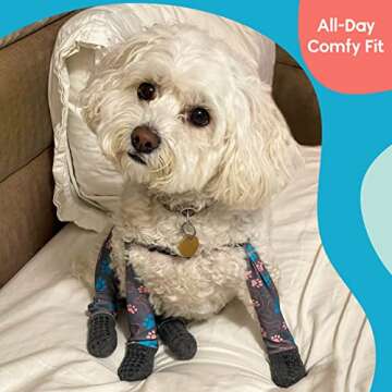 WALKEE PAWS Stay-on, Non-Slip Dog Socks to Prevent Licking Paws and Slipping on Hardwood Floors. Seen on Shark Tank, Never Lose a Dog Sock Again (X-Small) Grippy Socks with All Around Grip