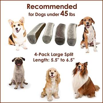 Deluxe Naturals Elk Antler Chews for Dogs | Naturally Shed USA Collected Elk Antlers | All Natural A...