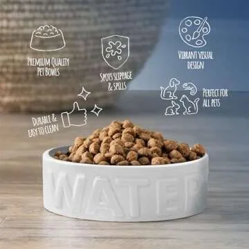 Park Life Designs Stylish Pet Bowl for All Pets