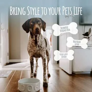 Park Life Designs Stylish Pet Bowl for All Pets