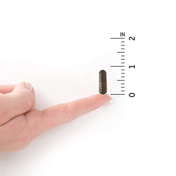 Garden of Life Probiotic Formula for Digestive Health