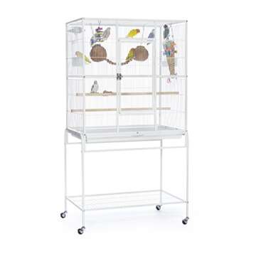 Prevue Pet Products Wrought Iron Flight Cage with Stand, Chalk White (F047)