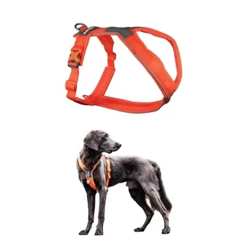 Non-stop Line 5.0 Harness Offers Comfort for Active Dogs