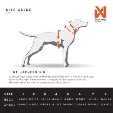 Comfortable Non-stop Line 5.0 Harness for Active Dogs
