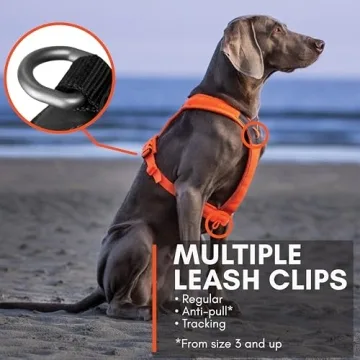 Comfortable Non-stop Line 5.0 Harness for Active Dogs