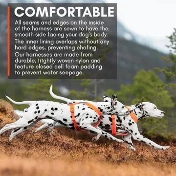 Comfortable Non-stop Line 5.0 Harness for Active Dogs