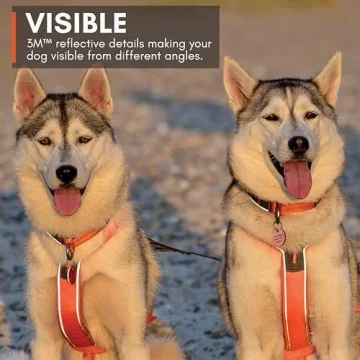Comfortable Non-stop Line 5.0 Harness for Active Dogs
