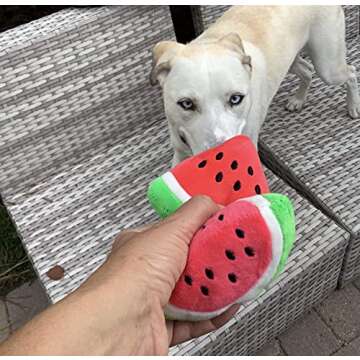 Glow Pups Watermelon Dog Toy, Food Shaped Dog Toy, Dog Toy for Small Dogs, Dog Toy with Squeaker, Food Parody Dog Toy, Toy for Puppies, Plush Dog Toy (Watermelon)