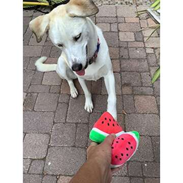 Glow Pups Watermelon Dog Toy, Food Shaped Dog Toy, Dog Toy for Small Dogs, Dog Toy with Squeaker, Food Parody Dog Toy, Toy for Puppies, Plush Dog Toy (Watermelon)