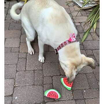 Glow Pups Watermelon Dog Toy, Food Shaped Dog Toy, Dog Toy for Small Dogs, Dog Toy with Squeaker, Food Parody Dog Toy, Toy for Puppies, Plush Dog Toy (Watermelon)