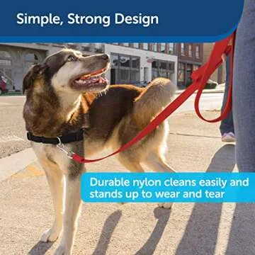 Durable Nylon Dog Leash by PetSafe - 6ft, Red