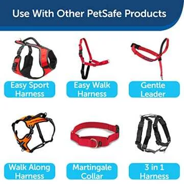 Durable Nylon Dog Leash by PetSafe - 6ft, Red