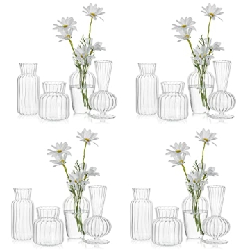 Mini Glass Vases for Elegant Home Decor and Gifts